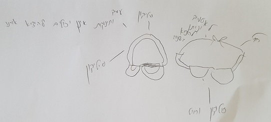 משקפיים לתינוקות, רעיון למיזם של תלמידה בכיתה ד